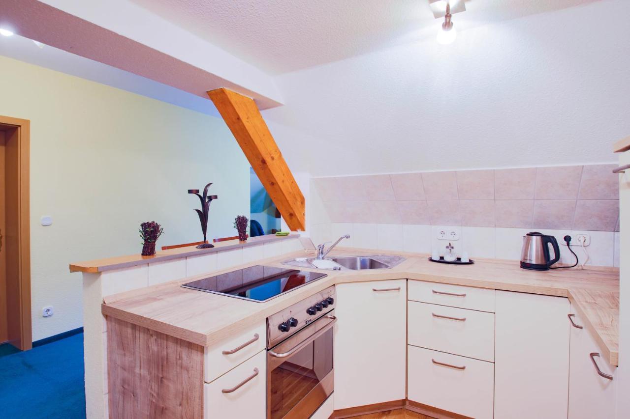 Ferien Hotel Villa Suedharz 叙尔茨哈 外观 照片